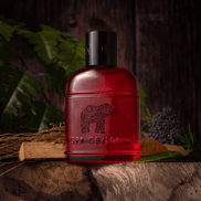 Forest Energy  Ceylon Elephant - Men's Eau De Perfume 100ml