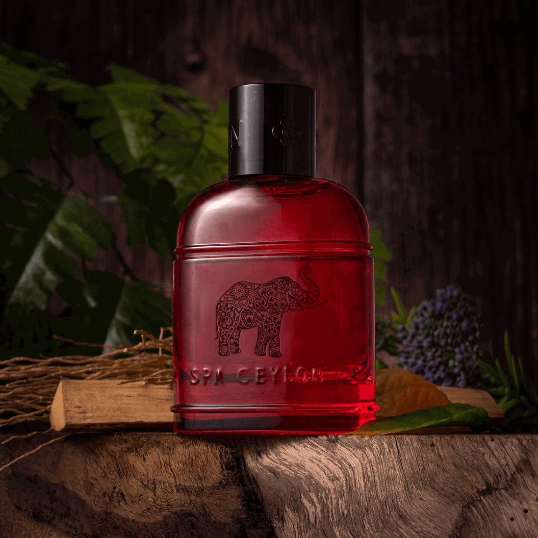 Forest Energy  Ceylon Elephant - Men's Eau De Perfume 100ml