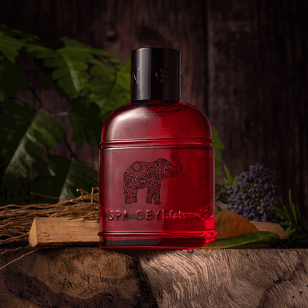 Forest Energy  Ceylon Elephant - Men's Eau De Perfume 100ml