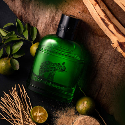 Forest Escape Ceylon Elephant - Men's Eau De Perfume 100ml