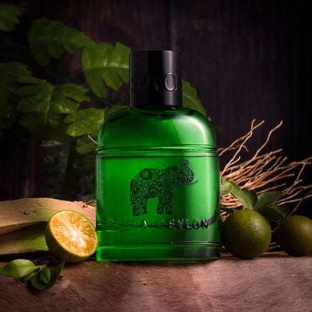Forest Escape Ceylon Elephant - Men's Eau De Perfume 100ml