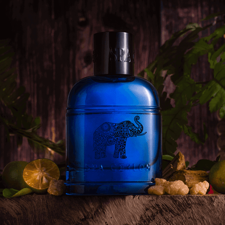 Forest Tribe Ceylon Elephant - Men's Eau De Perfume 100ml