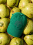 Ceylon Elephant Unisex Cap - Green