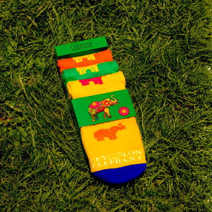 CECO Knitted Full Socks Pack 4
