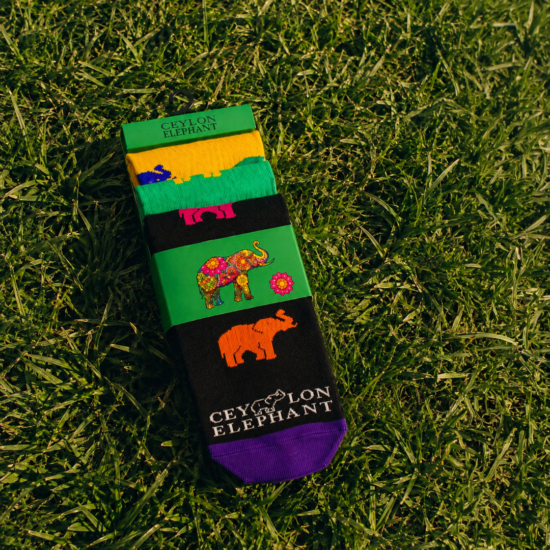 CECO Knitted Full Socks Pack 1