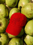 Ceylon Elephant Unisex Cap - Red